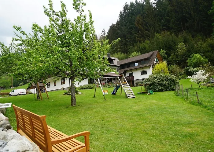 Gummeneck - Stubenhof, Black Forest