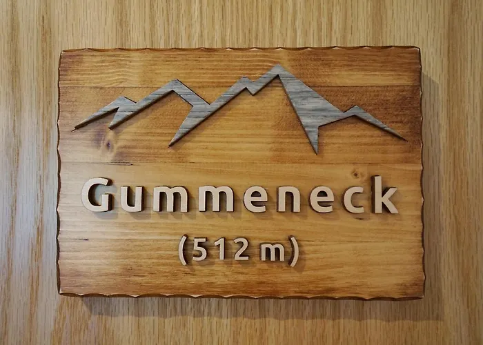 Gummeneck - Stubenhof, Black Forest